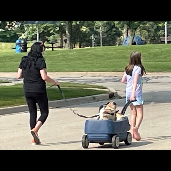 Meet your Posher, Rachael - Picture 14 of 16